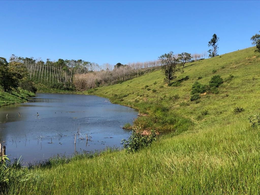 Terreno à venda, 72000m² - Foto 3