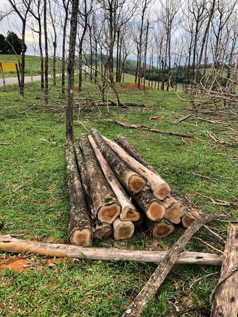 Terreno à venda, 72000m² - Foto 20