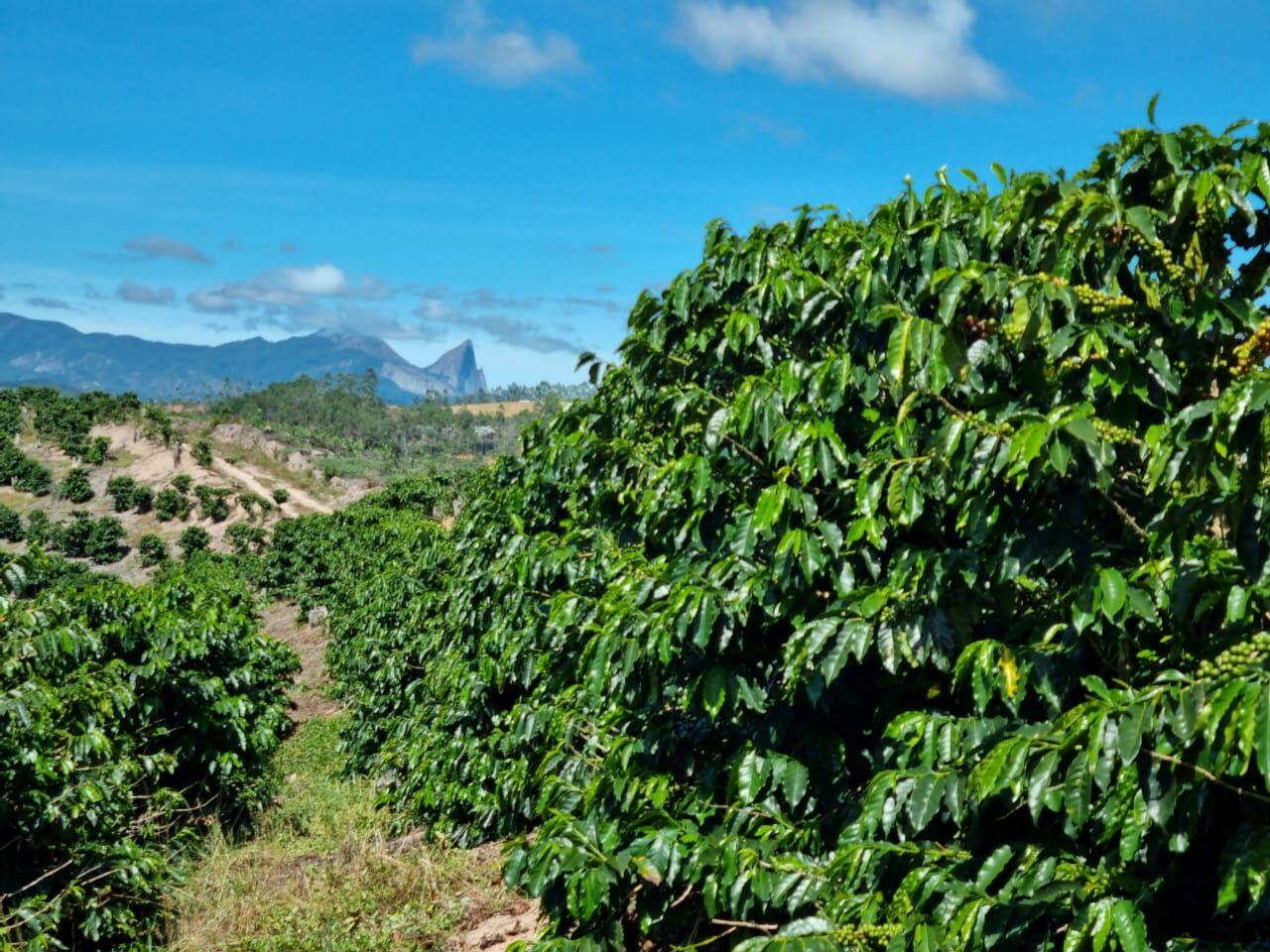 Terreno à venda, 700000m² - Foto 44