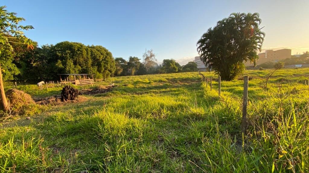 Terreno à venda, 1800m² - Foto 5