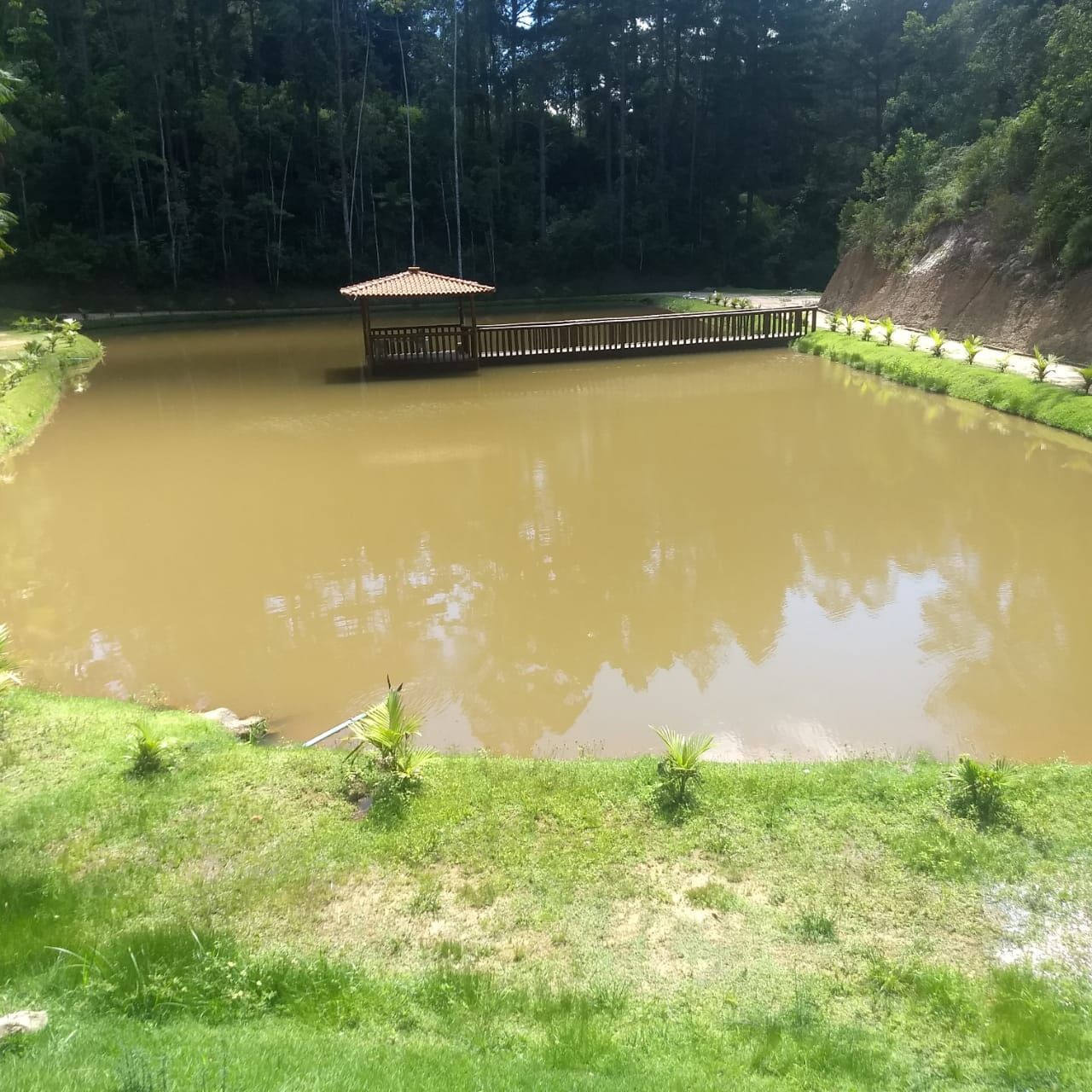 Fazenda à venda com 4 quartos, 270000m² - Foto 1