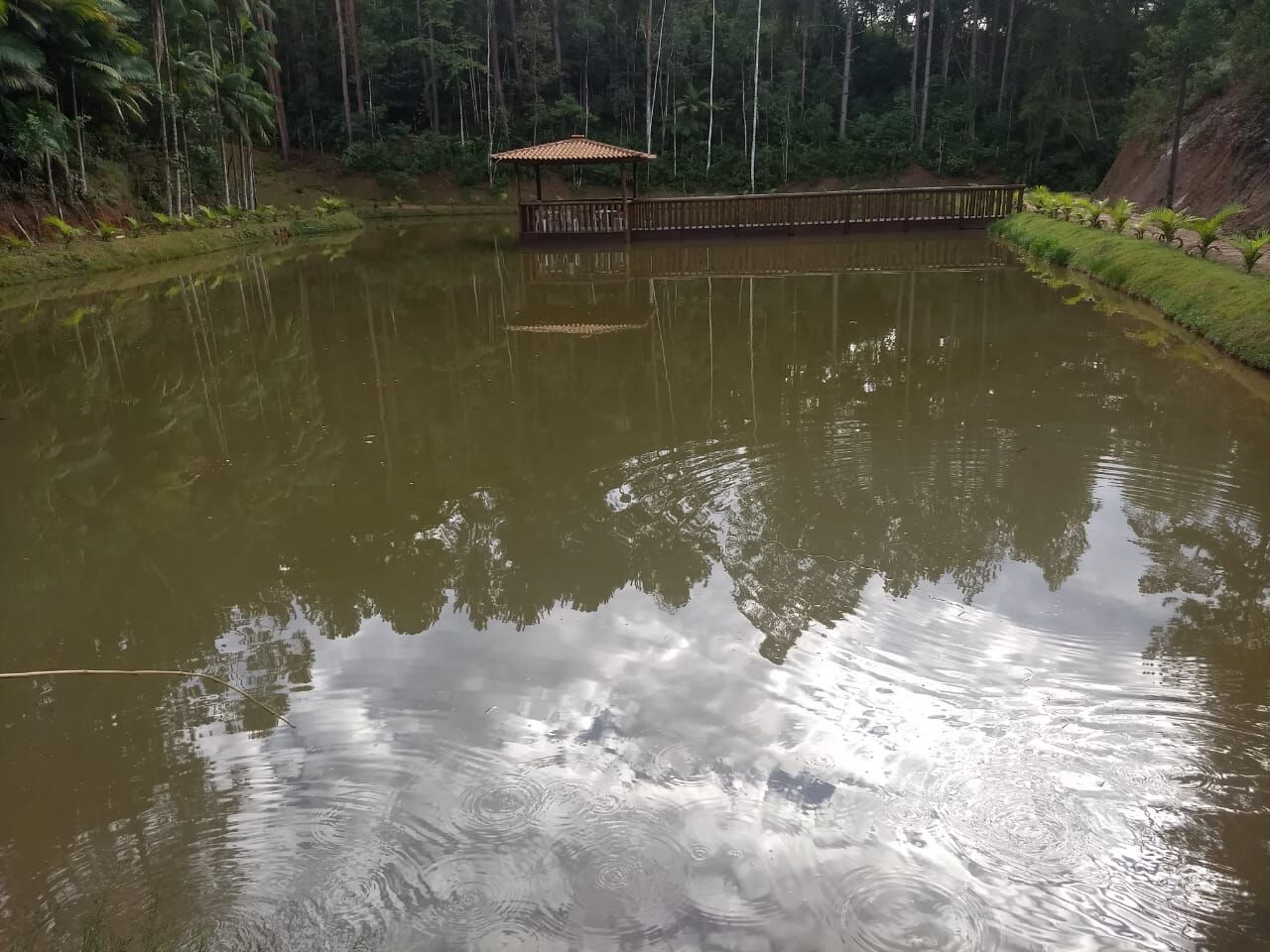 Fazenda à venda com 4 quartos, 270000m² - Foto 23