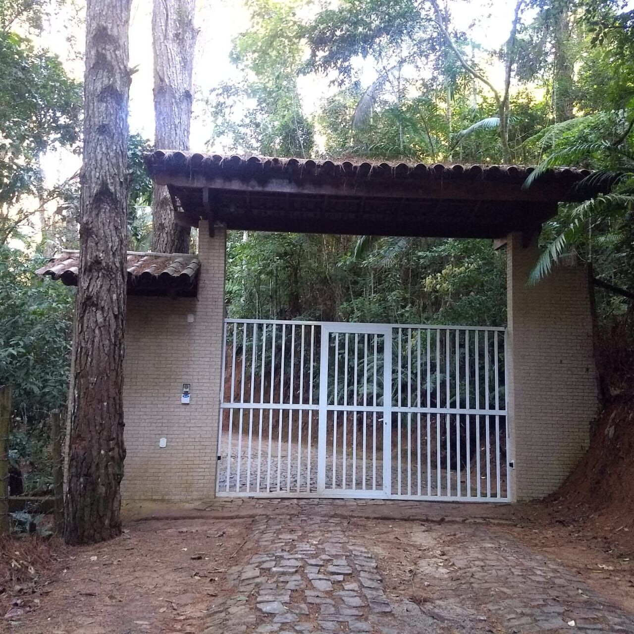 Fazenda à venda com 4 quartos, 270000m² - Foto 16