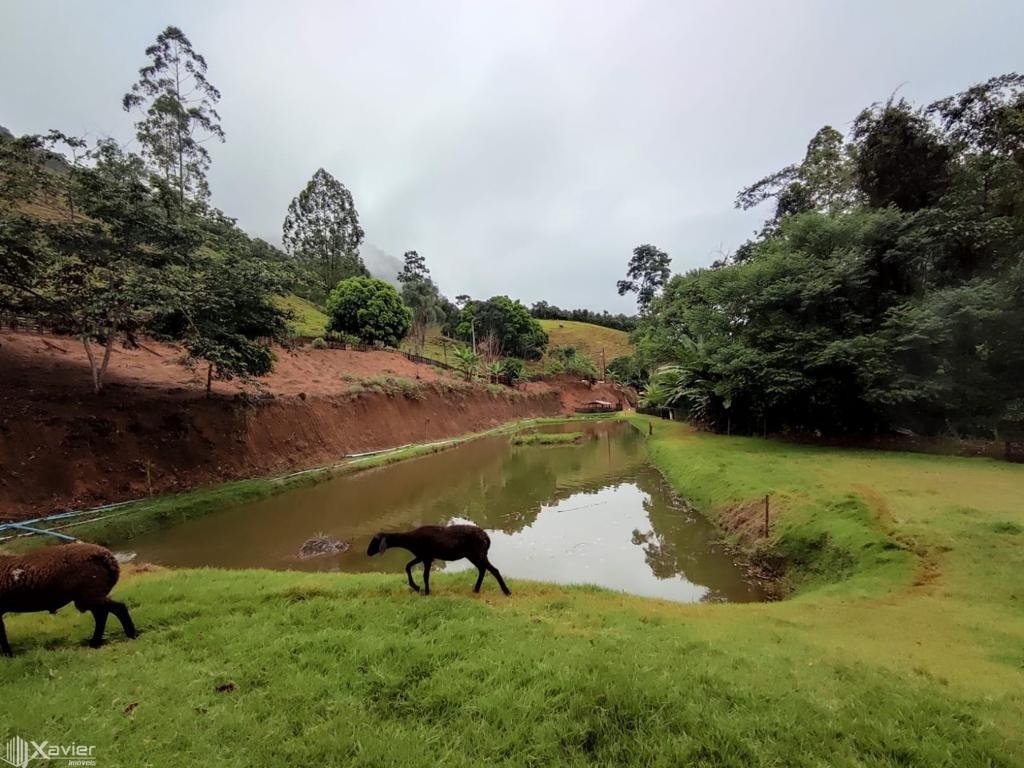 Fazenda à venda com 3 quartos, 135000m² - Foto 6