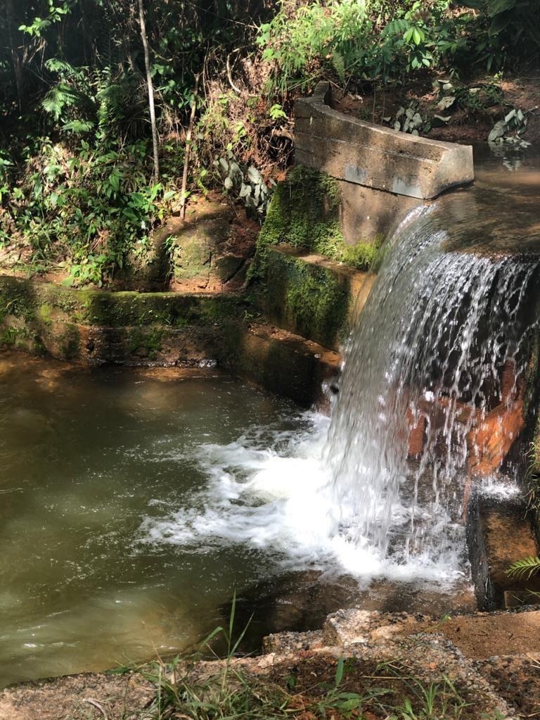 Fazenda à venda com 3 quartos, 135000m² - Foto 22