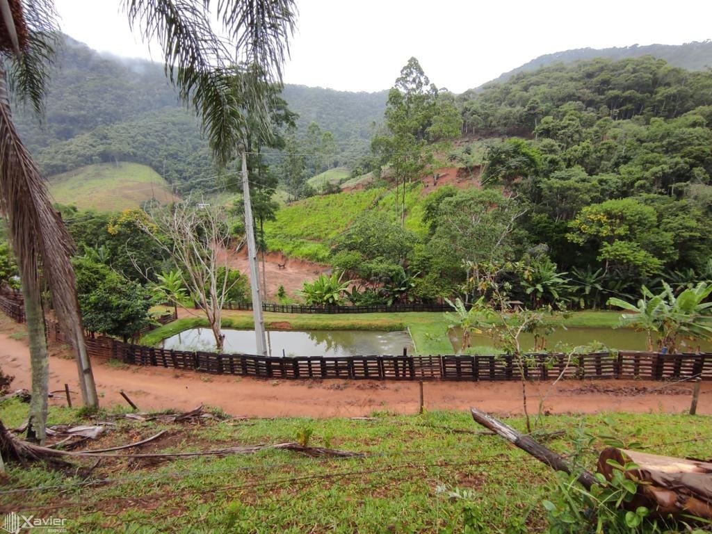 Fazenda à venda com 3 quartos, 135000m² - Foto 8