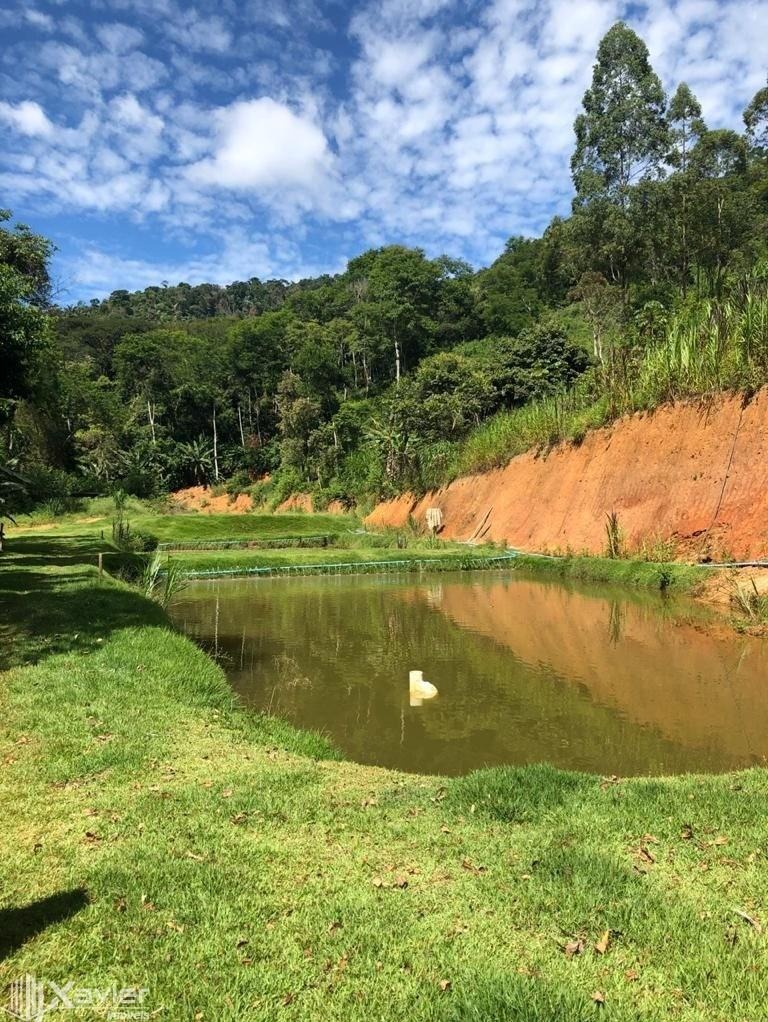 Fazenda à venda com 3 quartos, 135000m² - Foto 5