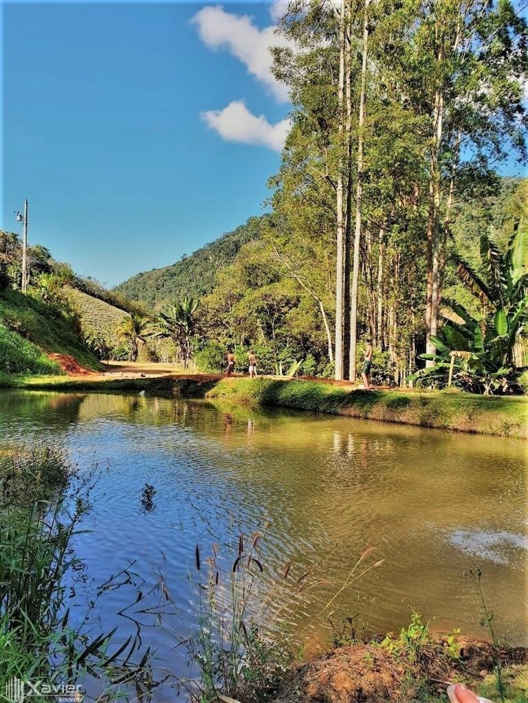 Fazenda à venda com 3 quartos, 135000m² - Foto 3