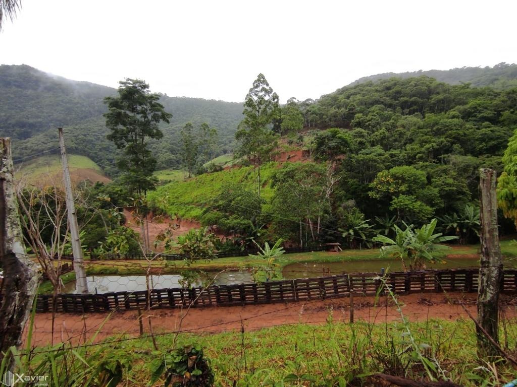 Fazenda à venda com 3 quartos, 135000m² - Foto 9