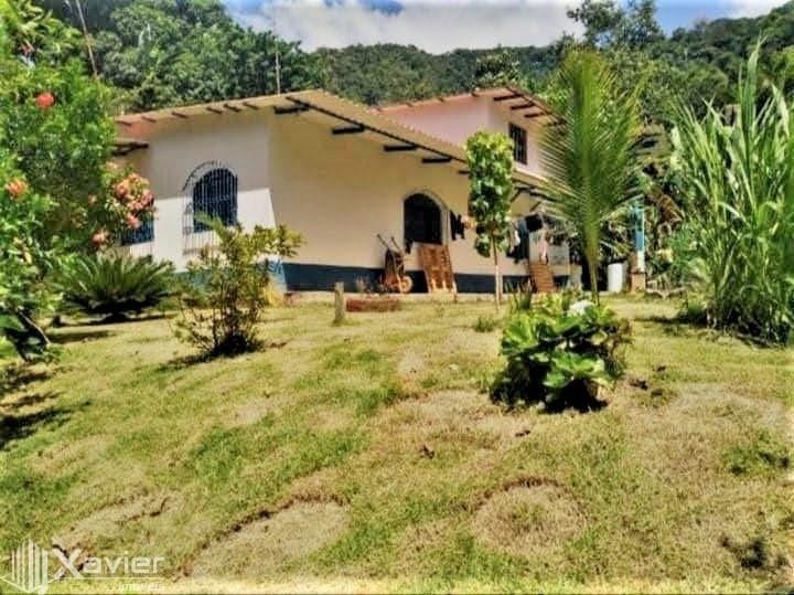 Fazenda à venda com 3 quartos, 135000m² - Foto 10