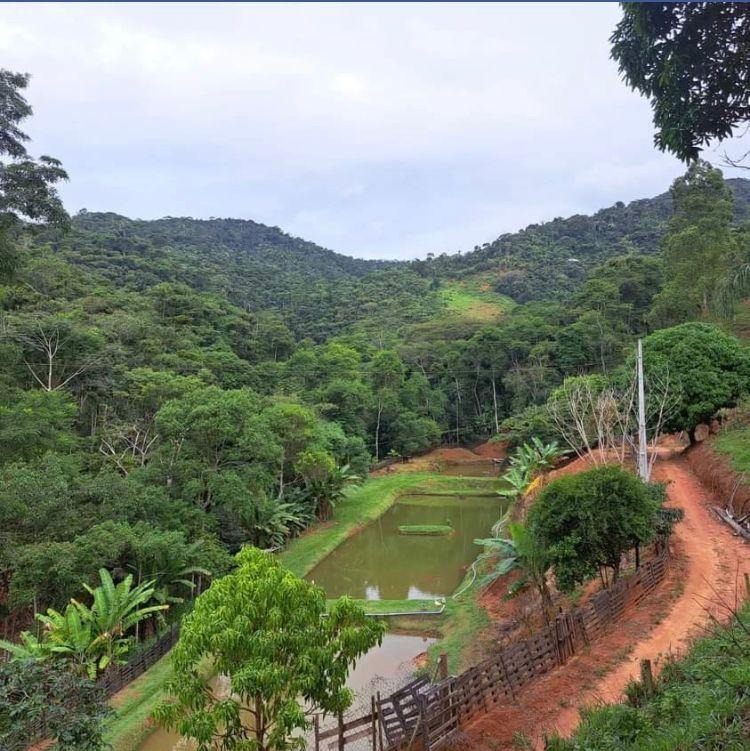 Fazenda à venda com 3 quartos, 135000m² - Foto 17