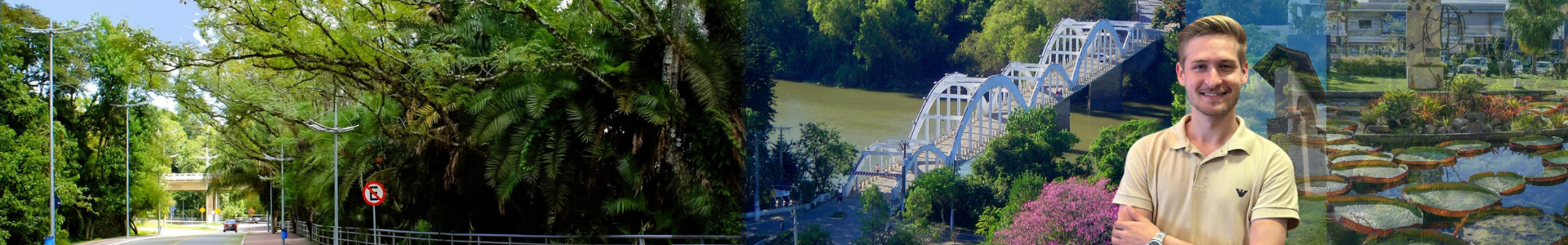 BIANCATO CORRETOR | IMÓVEIS SELECIONADOS