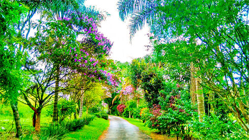 🌄 Chácara Terra Nova: Um Refúgio com História e Natureza em Jundiaí/SP