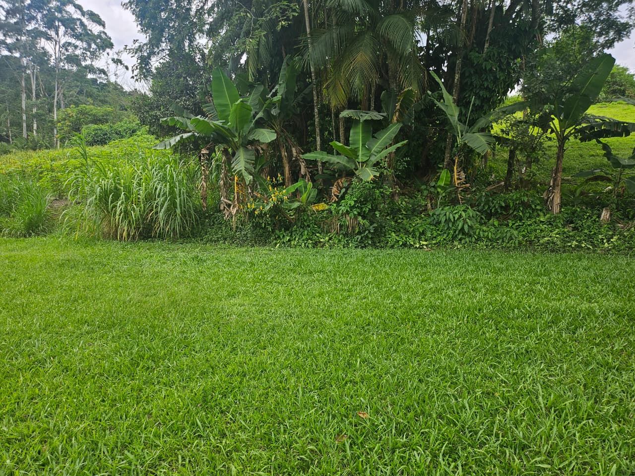 cliente faz permuta por casa terreno casa apartamento — foto 4