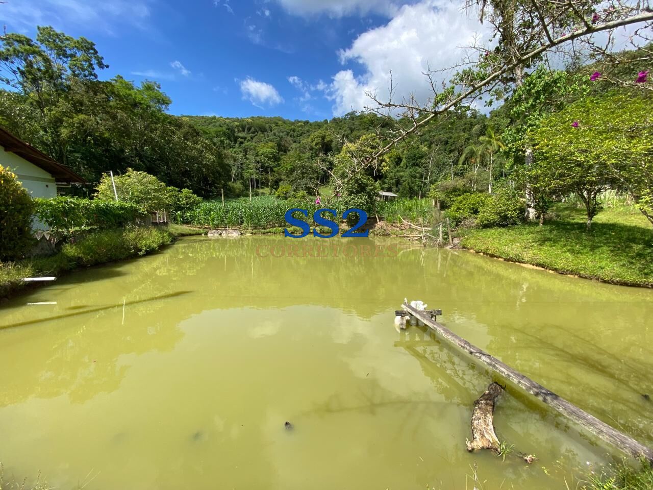 Sítio Escriturado com Duas Casas - Vila Itoupava - foto 1