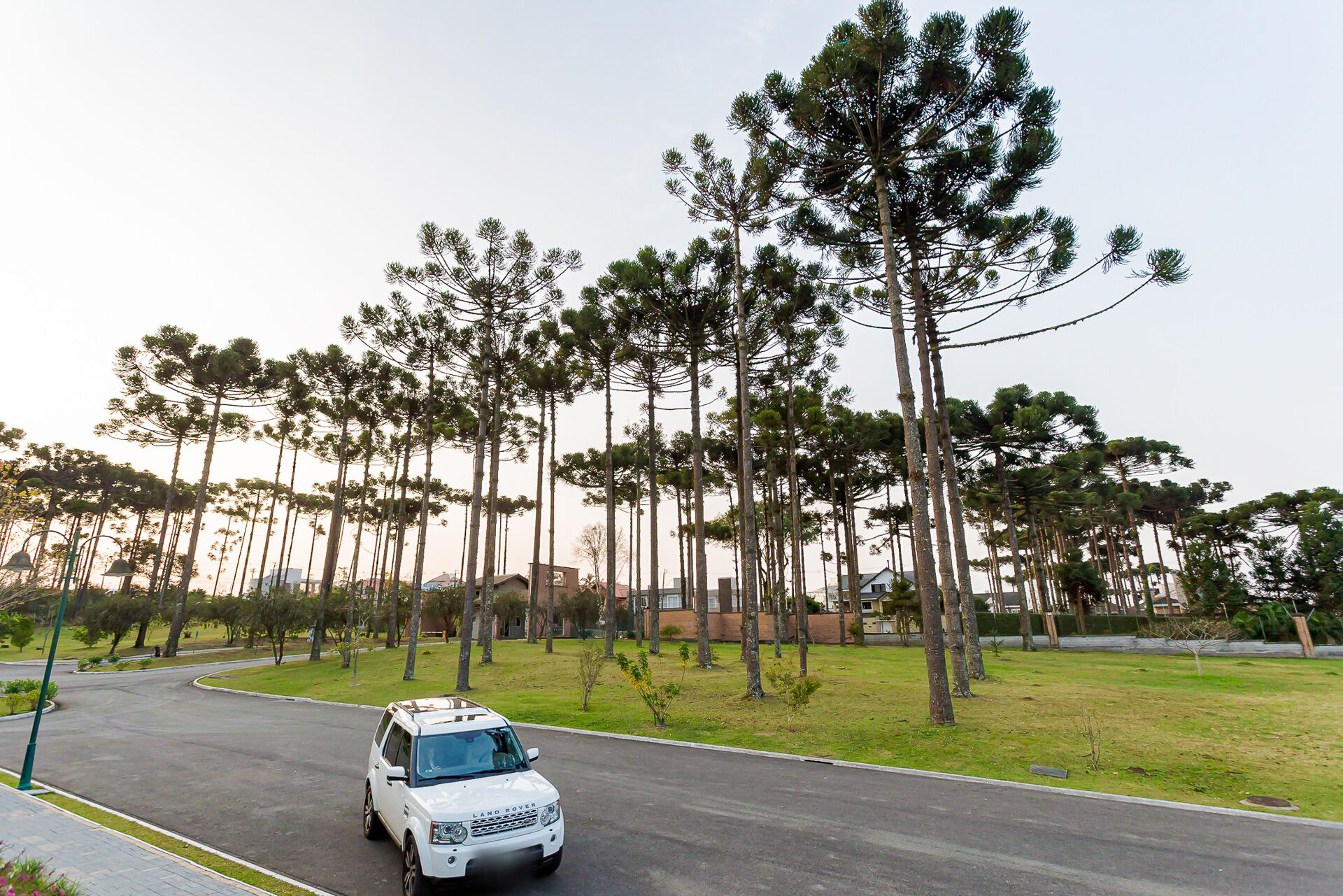 Casa de Condomínio à venda com 3 quartos, 800m² - Foto 51