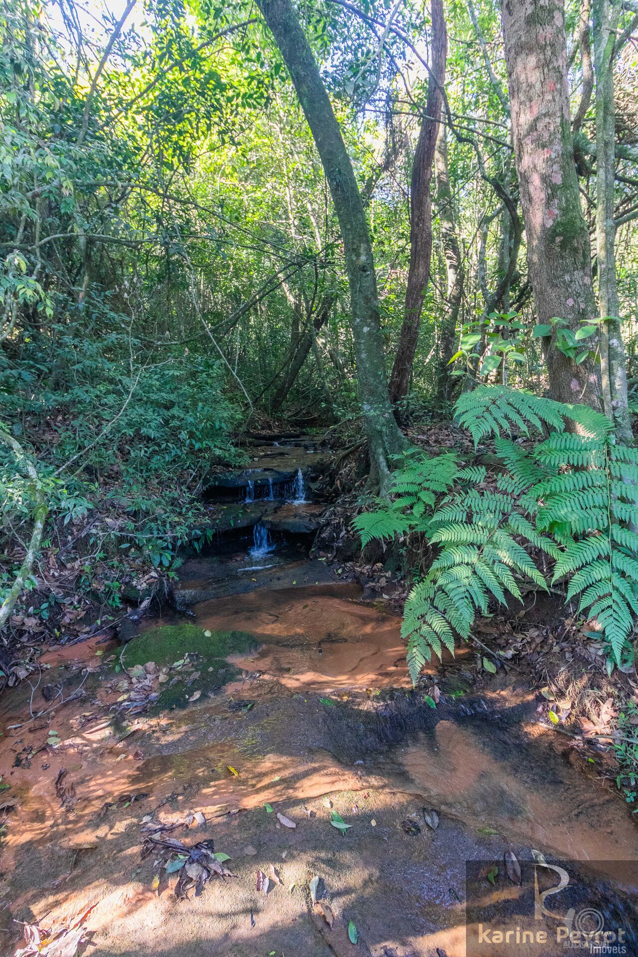 Terreno à venda, 3000m² - Foto 14