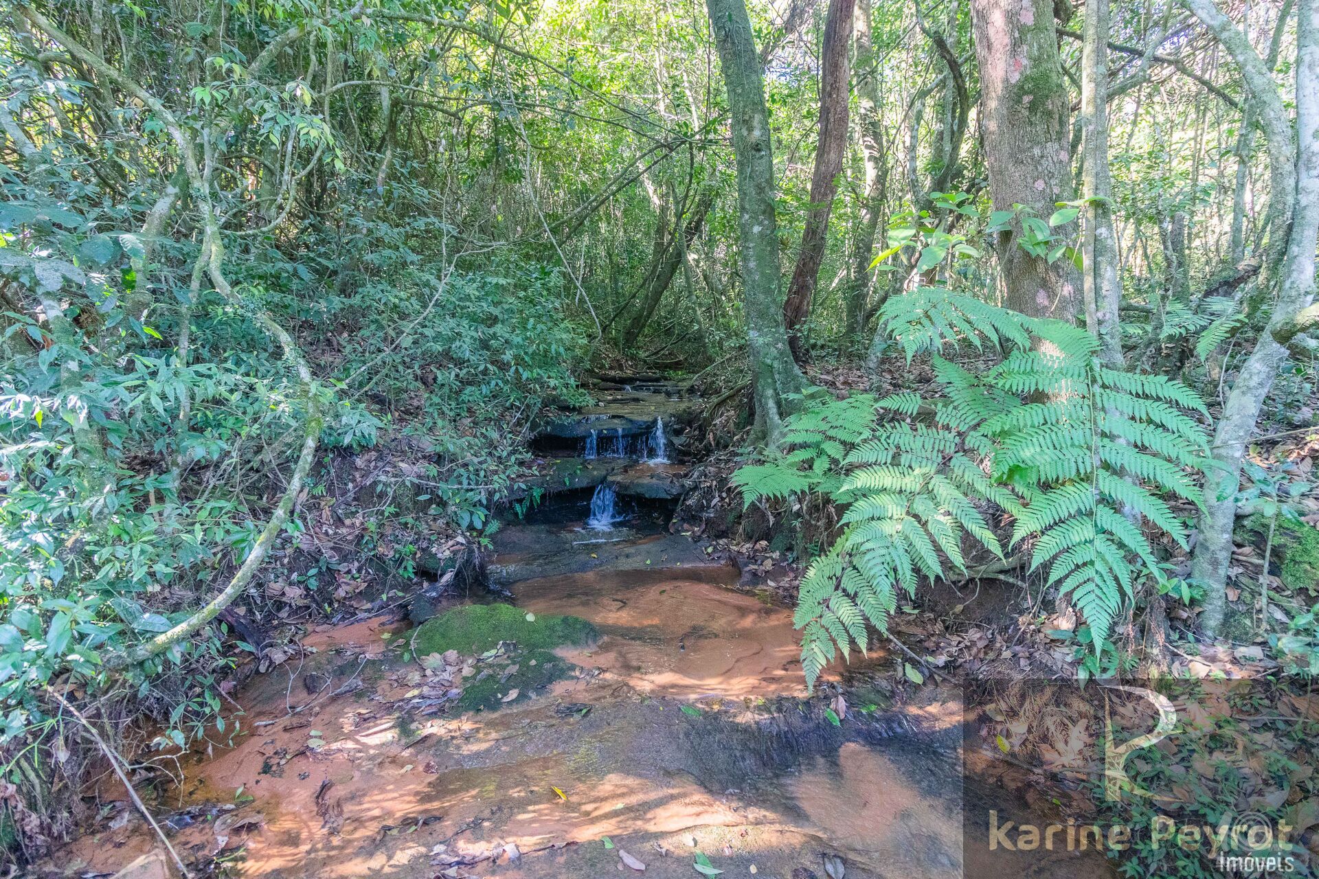 Terreno à venda, 2200m² - Foto 29