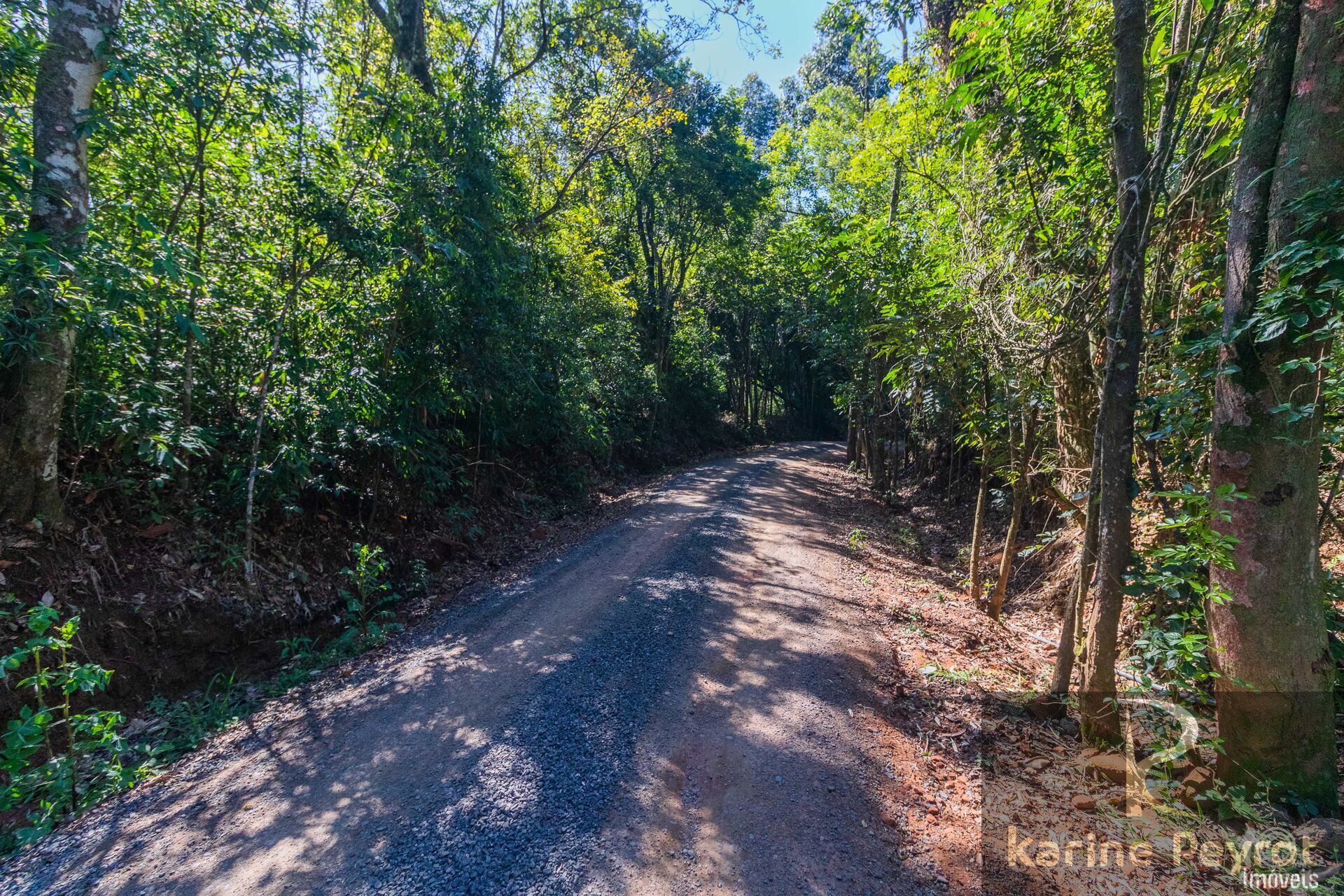 Terreno à venda, 3000m² - Foto 6