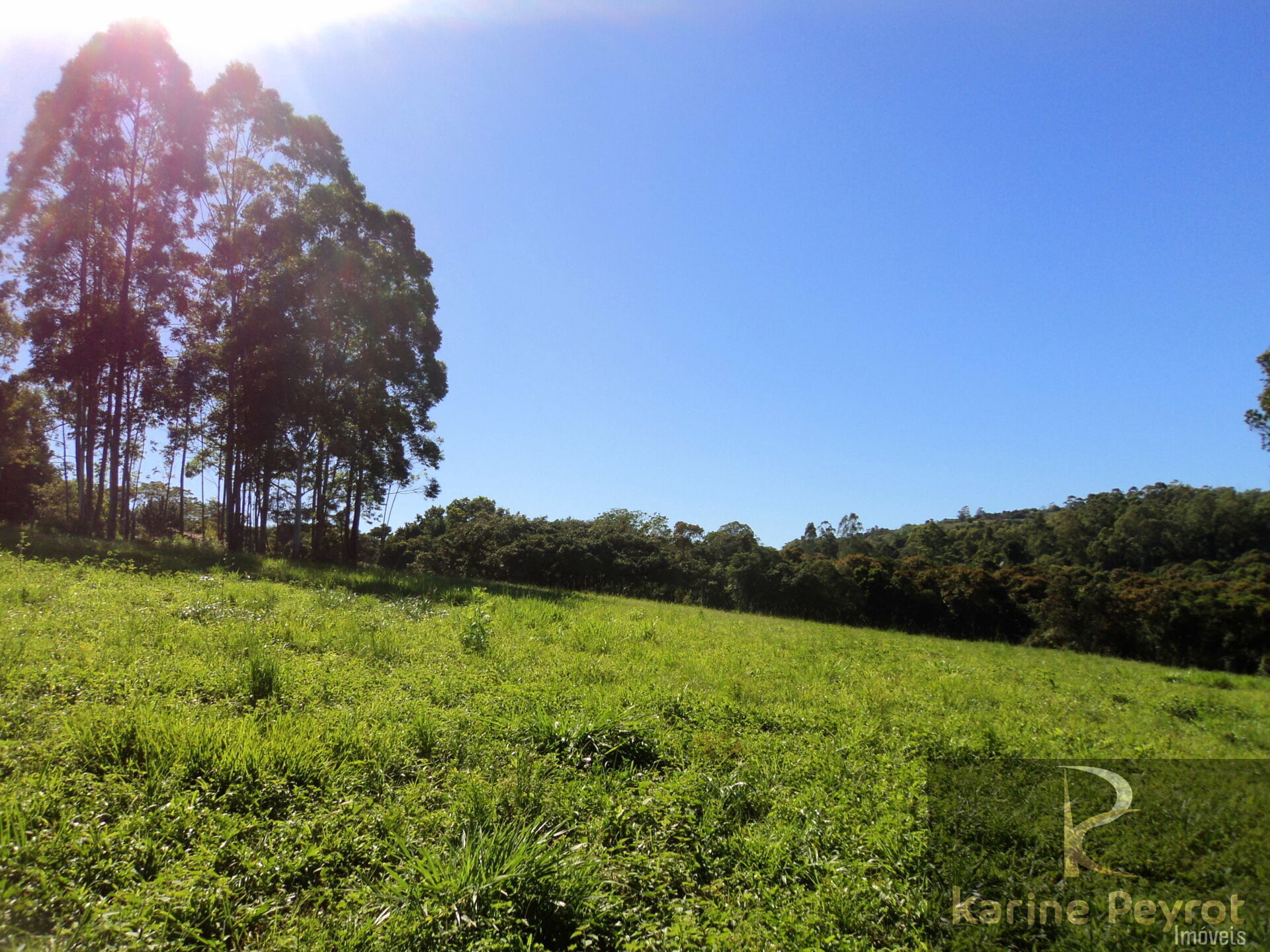 Terreno à venda, 3000m² - Foto 10