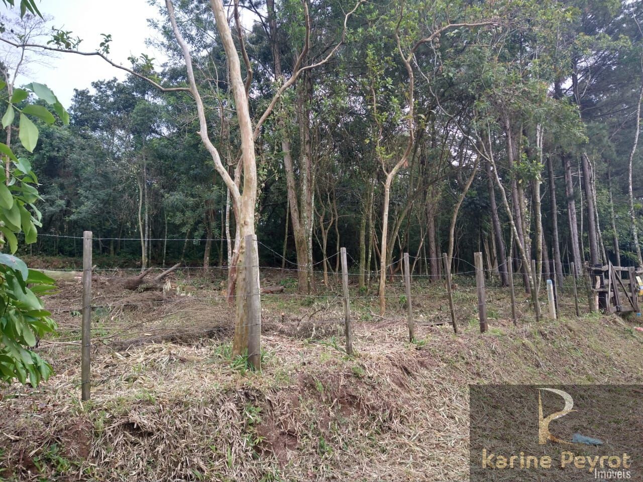 Terreno à venda, 250m² - Foto 4