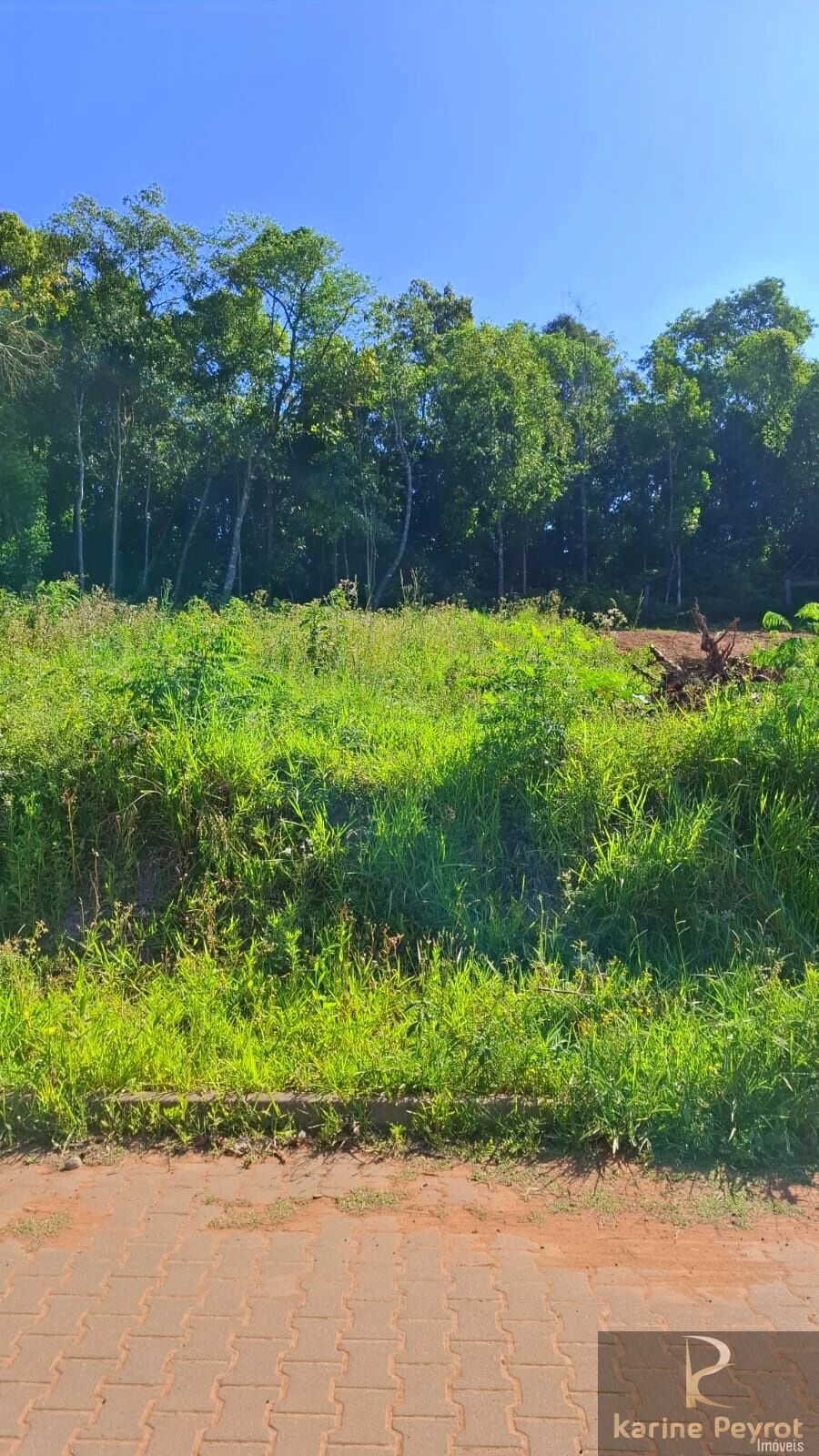 Terreno à venda, 300m² - Foto 25