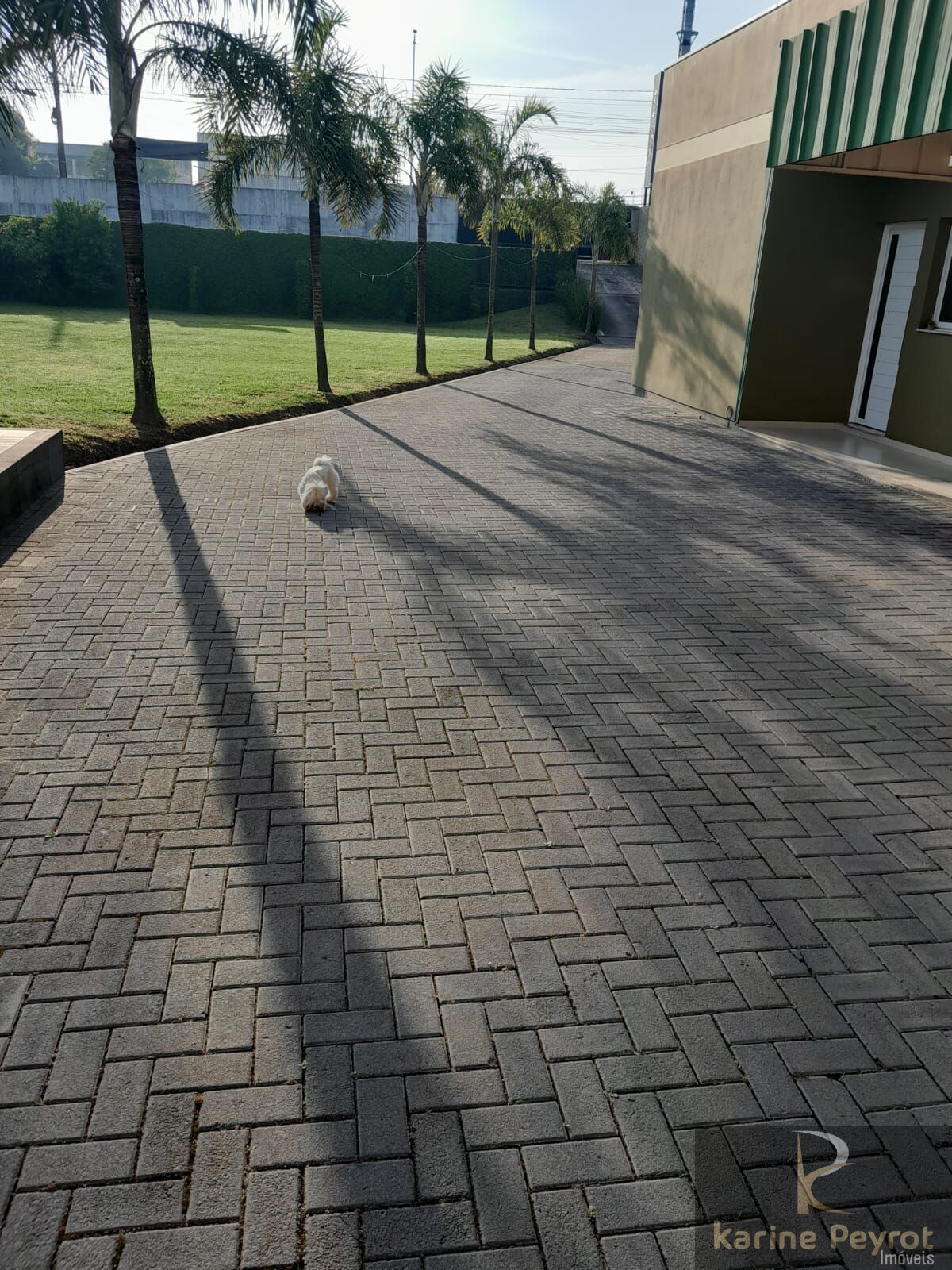 Casa Comercial à venda, 1400m² - Foto 13