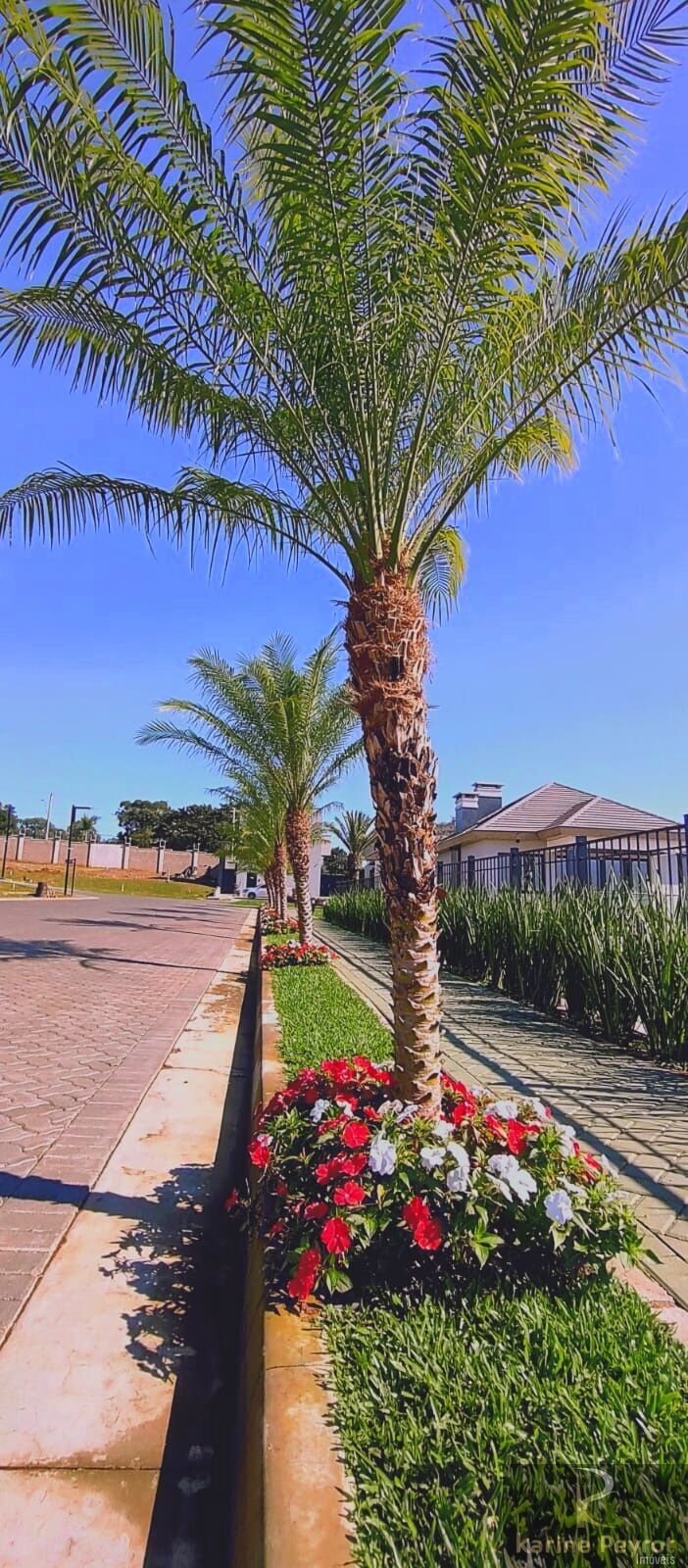 Terreno, 503 m² - Foto 14