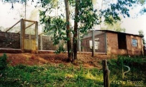 Chácara, 5 quartos, 2 hectares - Foto 8