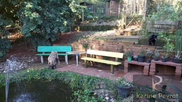 Chácara, 5 quartos, 2 hectares - Foto 42