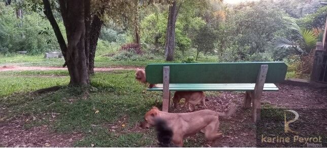 Chácara, 5 quartos, 2 hectares - Foto 50