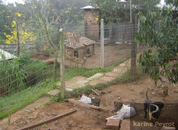 Chácara, 5 quartos, 2 hectares - Foto 3