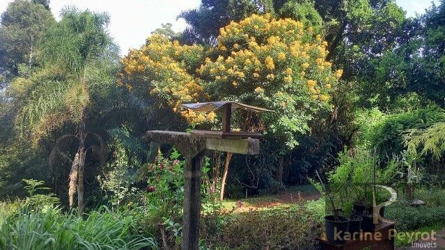 Chácara, 5 quartos, 2 hectares - Foto 44