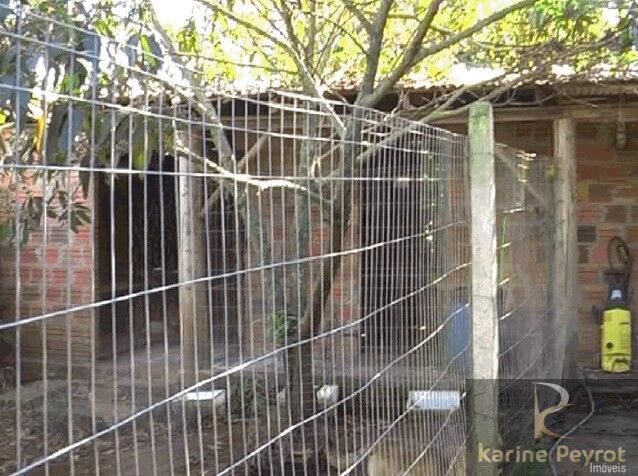 Chácara, 5 quartos, 2 hectares - Foto 5