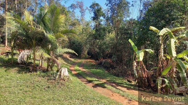 Chácara, 5 quartos, 2 hectares - Foto 49