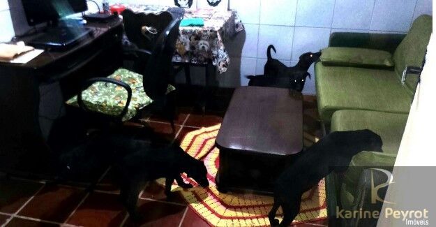 Chácara, 5 quartos, 2 hectares - Foto 22