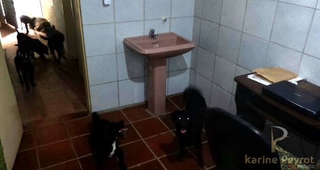 Chácara, 5 quartos, 2 hectares - Foto 15