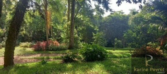 Chácara, 5 quartos, 2 hectares - Foto 43