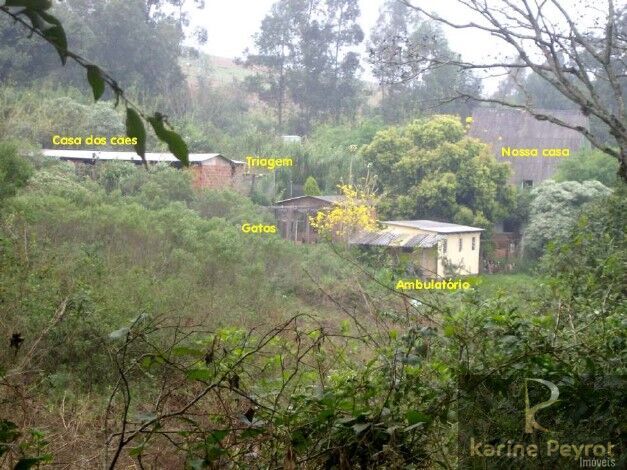 Chácara, 5 quartos, 2 hectares - Foto 7