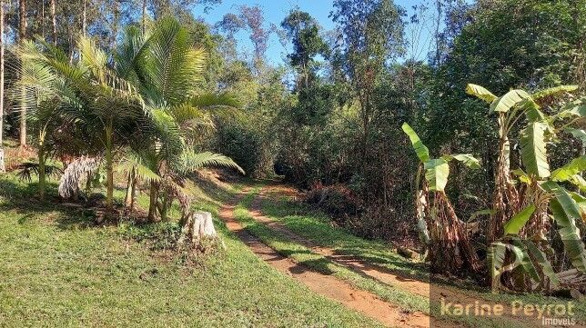 Chácara, 5 quartos, 2 hectares - Foto 46