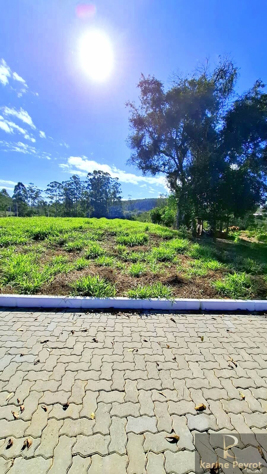 Terreno, 440 m² - Foto 5