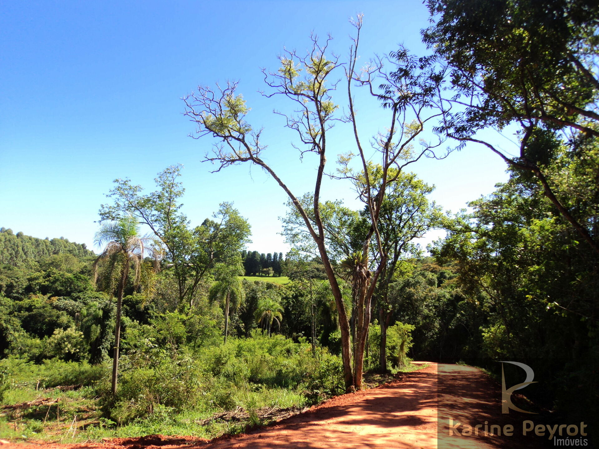 Terreno à venda, 2200m² - Foto 11