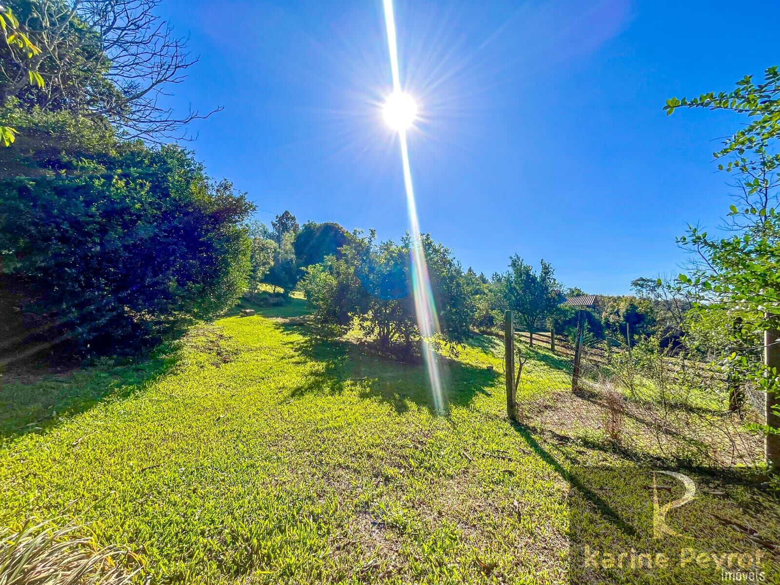 Fazenda à venda com 4 quartos, 3000m² - Foto 20