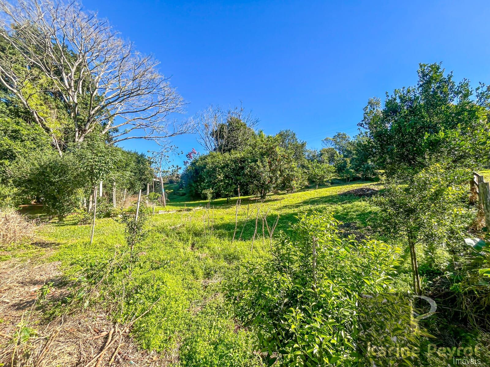 Fazenda à venda com 4 quartos, 3000m² - Foto 36