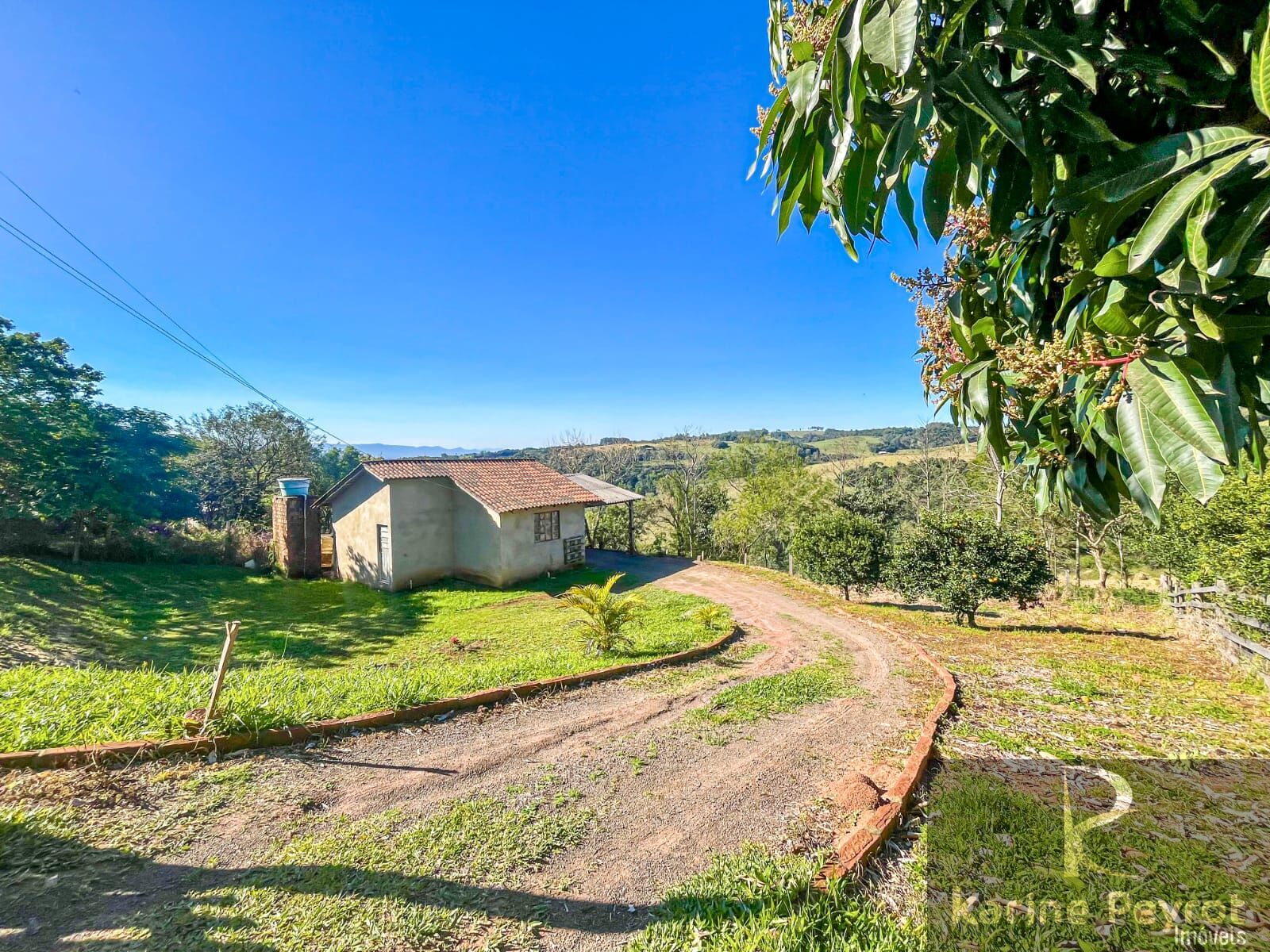 Fazenda à venda com 4 quartos, 3000m² - Foto 37