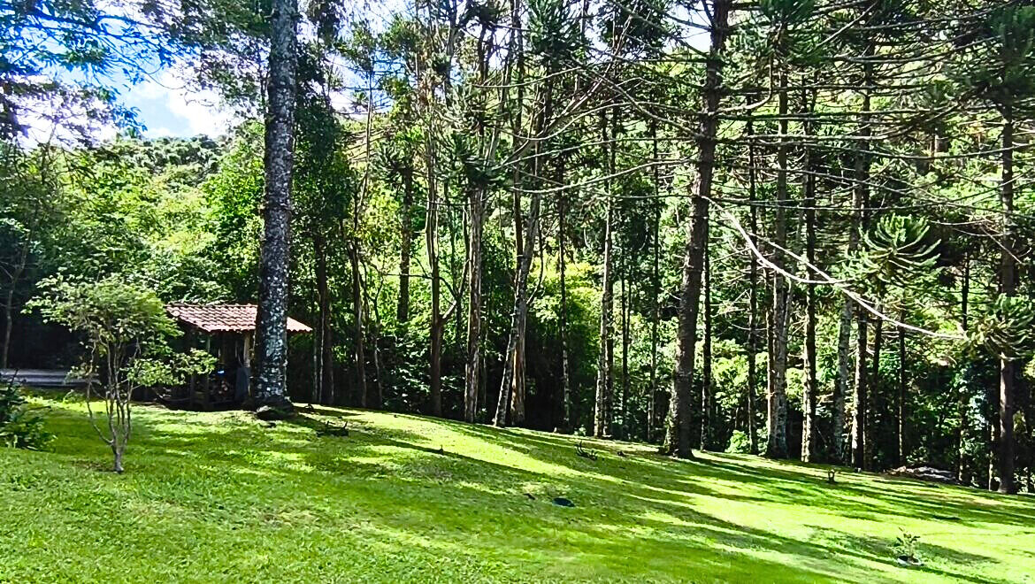 Sítio, 4 quartos, 1 hectares - Foto 27