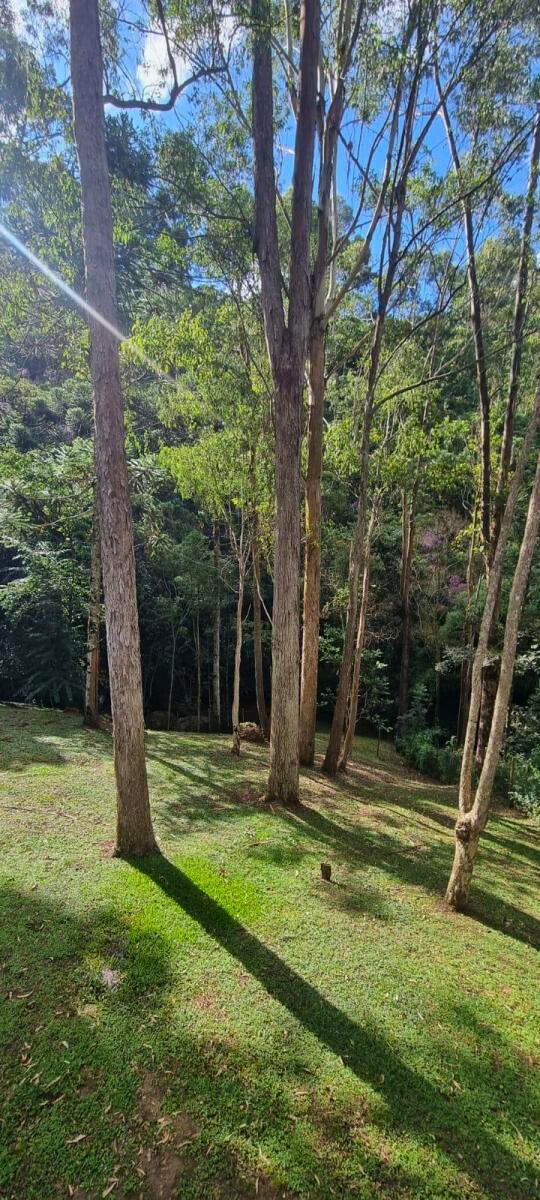 Sítio, 4 quartos, 1 hectares - Foto 6