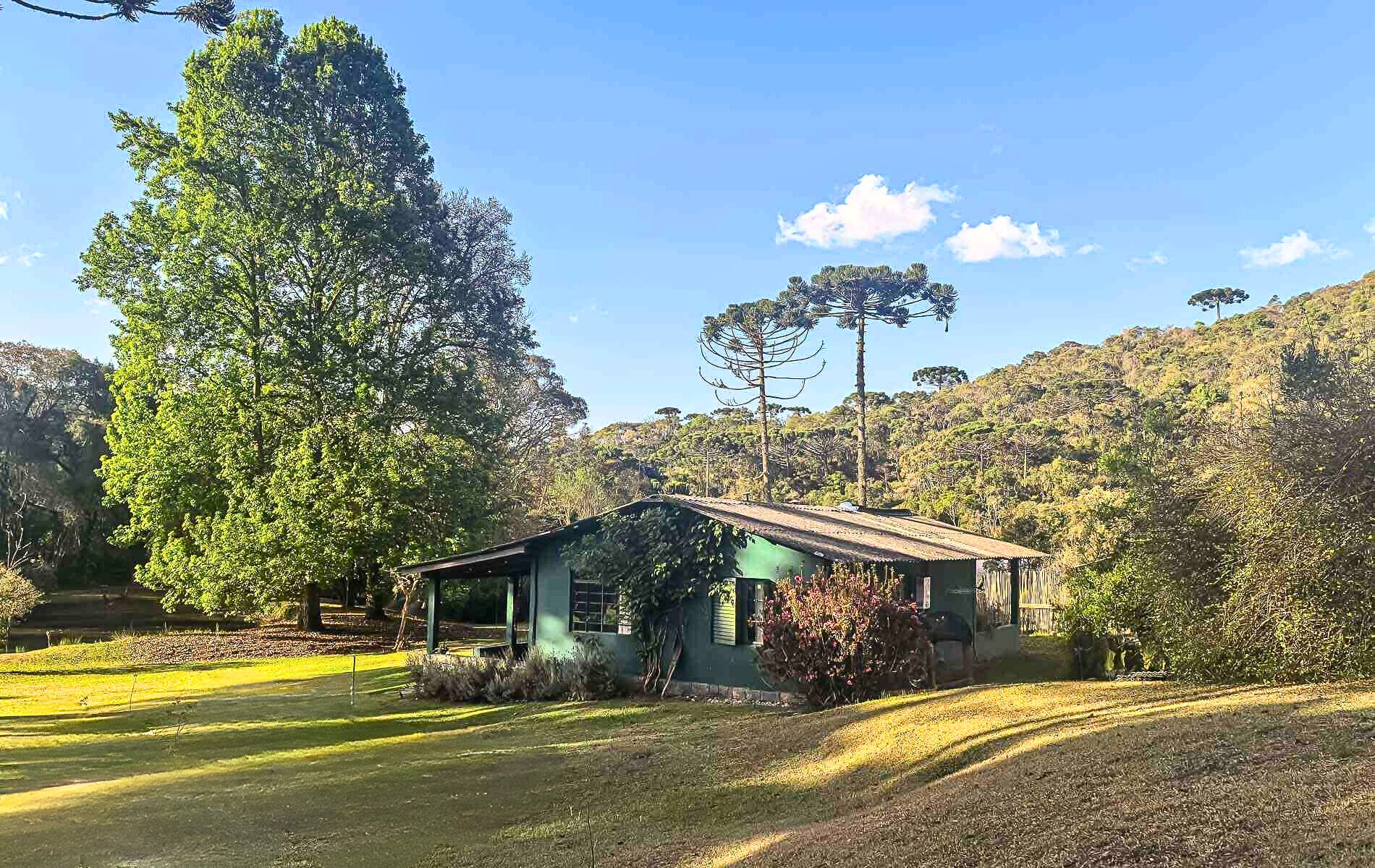 Sítio, 4 quartos, 12 hectares - Foto 31