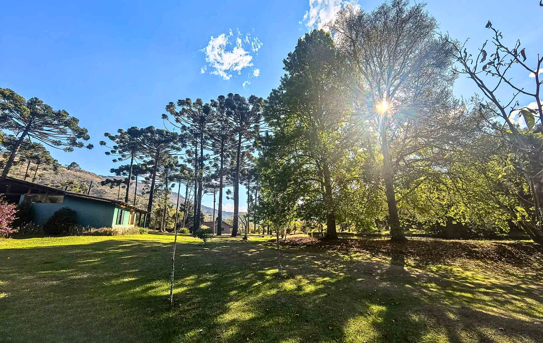 Sítio, 4 quartos, 12 hectares - Foto 36