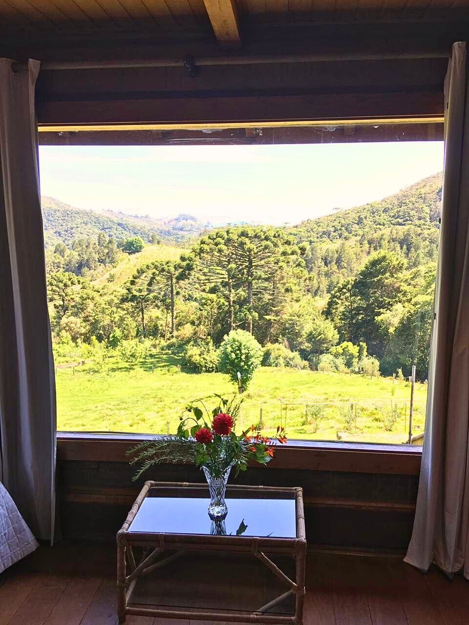 Sítio, 4 quartos, 12 hectares - Foto 9